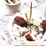 Keto Mint Chocolate Chip Ice Cream