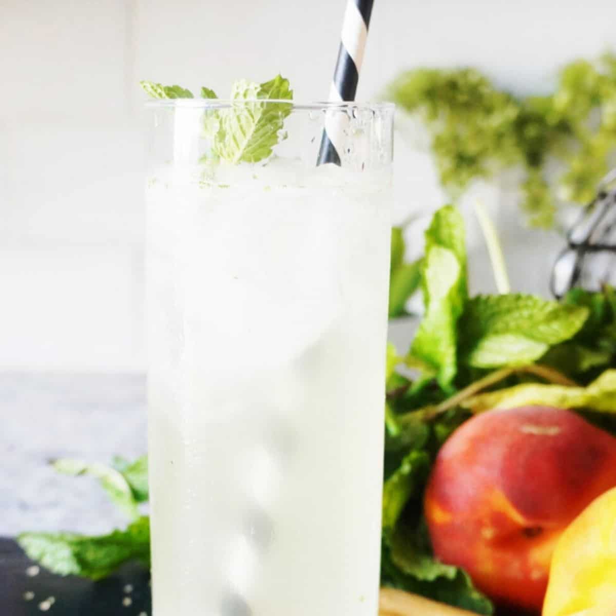 Keto Cocktail With Botanical Peach Ginger Mint Clean Keto Lifestyle