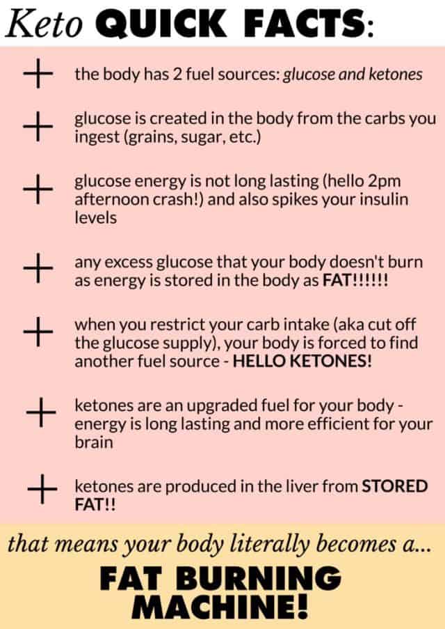 Keto 101 - Complete Guide to the Ketogenic Diet